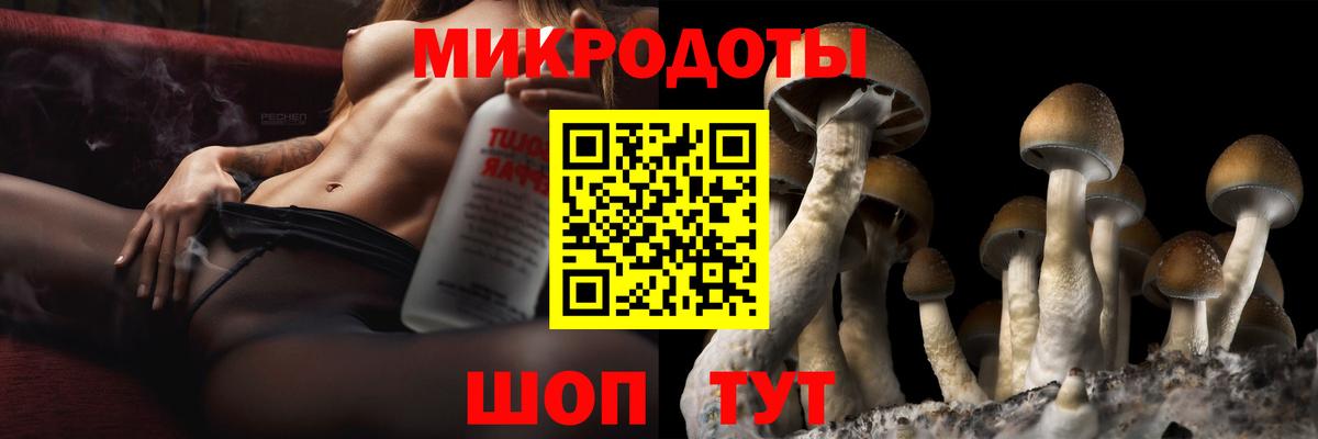 Галлюциногенные грибы ЛСД Азнакаево